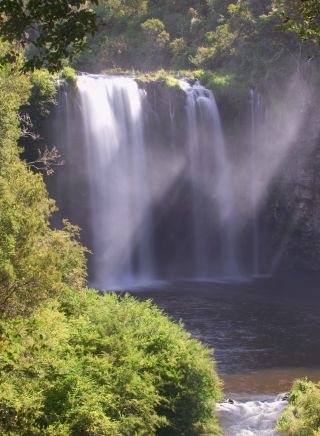 Scenic shot of Dangar Falls, near Dorrigo, North 澳洲五幸运168澳洲官方体彩结果 Coast